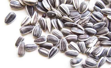 Semilla de Maravilla