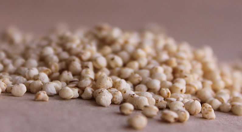 Quinoa inflada