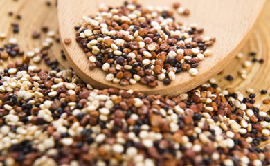 Quinoa tricolor
